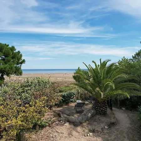 Dune *